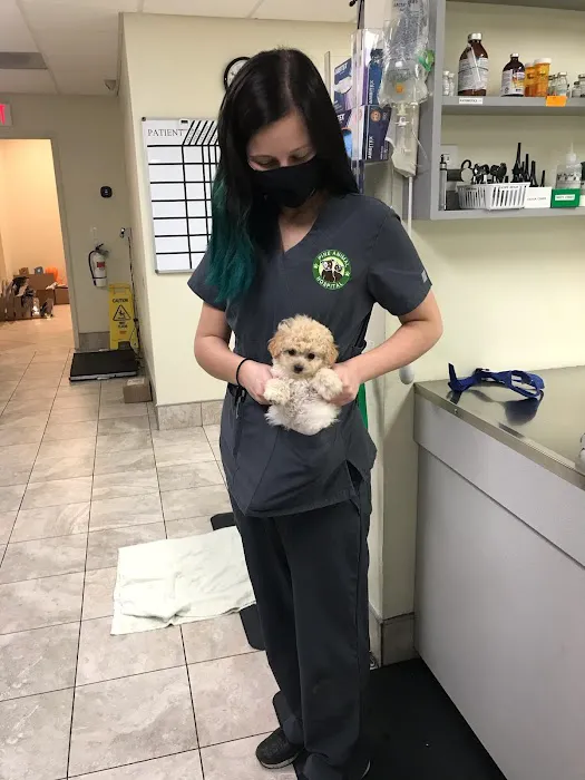 Pine Animal Hospital & Integrative Wellness Center Picture 9
