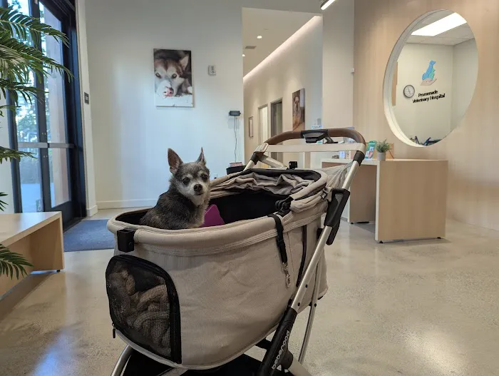 Promenade Veterinary Hospital Picture 2