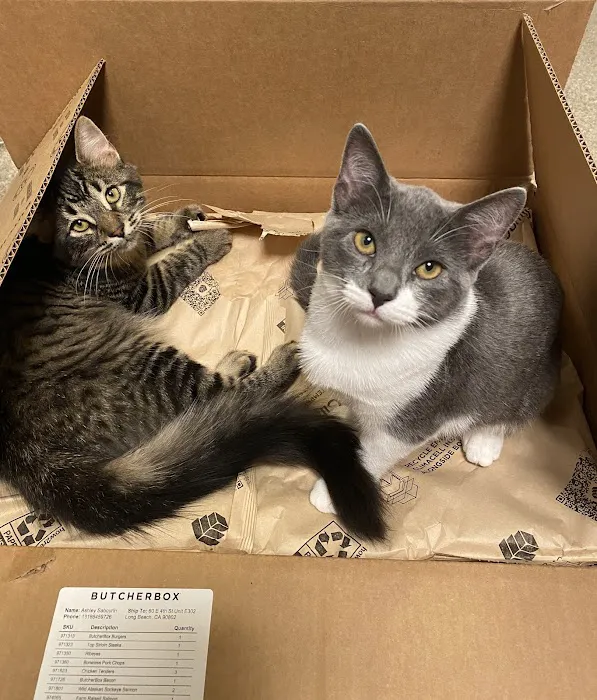 Promenade Veterinary Hospital Picture 1