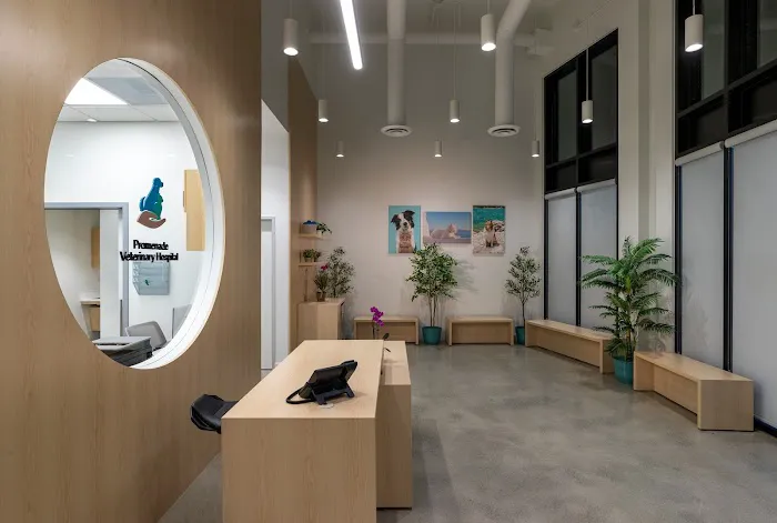 Promenade Veterinary Hospital Picture 4