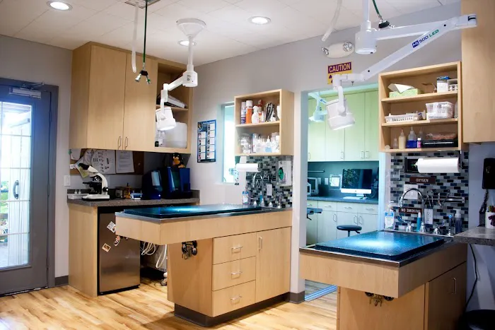 Cats & Dogs Animal Hospital Picture 2