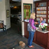 Beach Veterinary Hospital ico