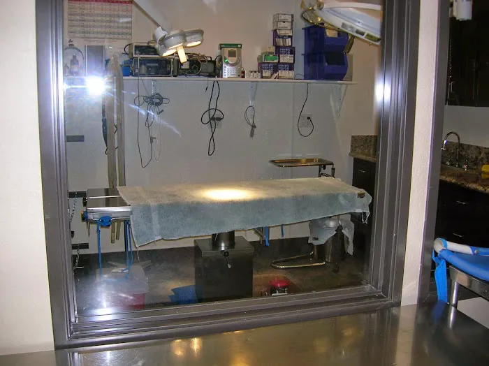 Beach Veterinary Hospital Picture 5