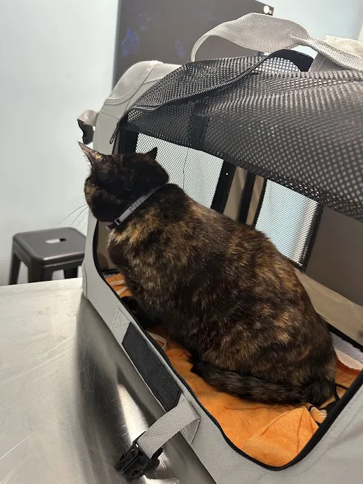Lbc Vets Primary and Urgent Care Picture 2