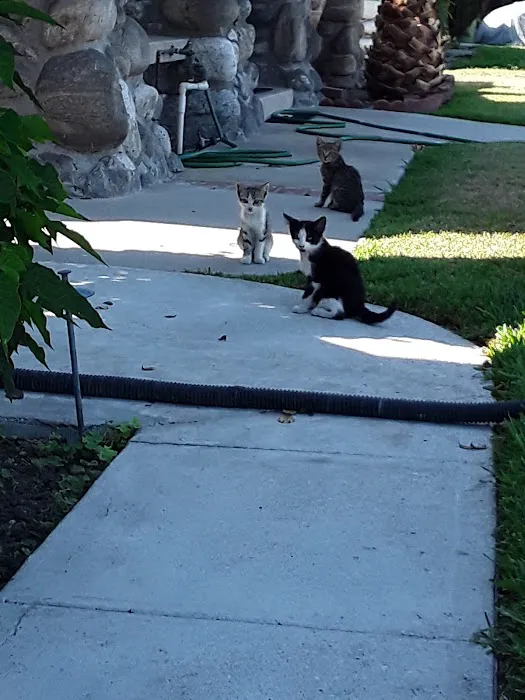 Belmont Heights Animal Hospital Picture 7