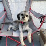 Broadway Pet Hospital