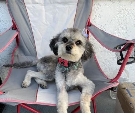 Broadway Pet Hospital