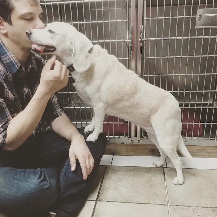 Broadway Pet Hospital Picture 3