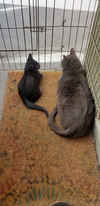 Broadway Pet Hospital Picture 6