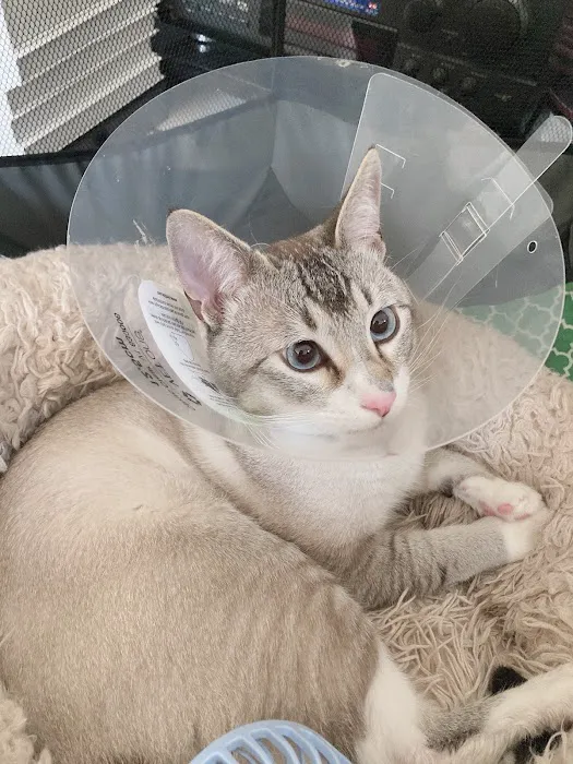 Broadway Pet Hospital Picture 10