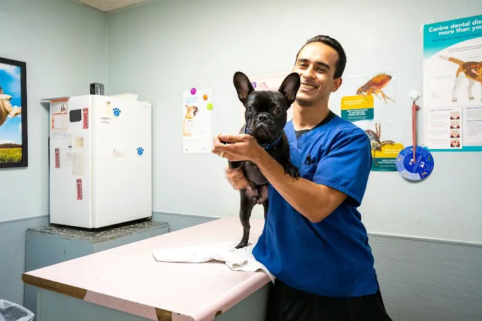 Gentle Care Pet Clinic Picture 9