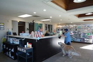 Auto Service Center