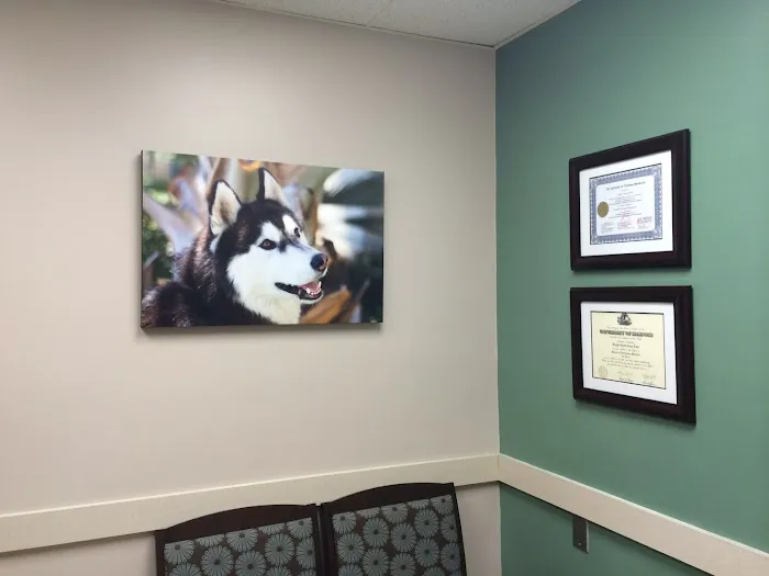 VCA Rossmoor-El Dorado Animal Hospital Picture 2