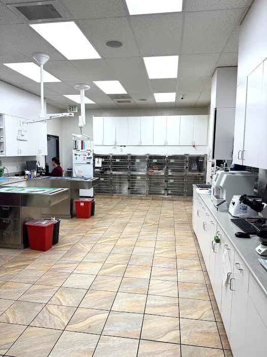 Lincoln Animal Hospital Picture 2