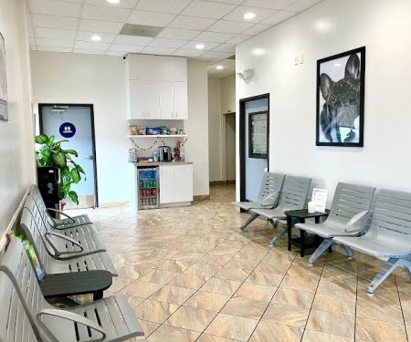 Lincoln Animal Hospital