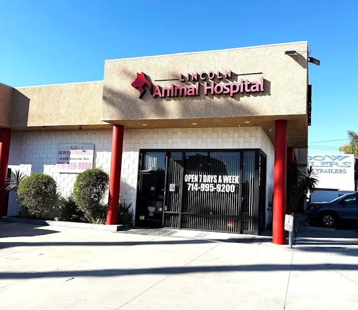 Lincoln Animal Hospital Picture 6