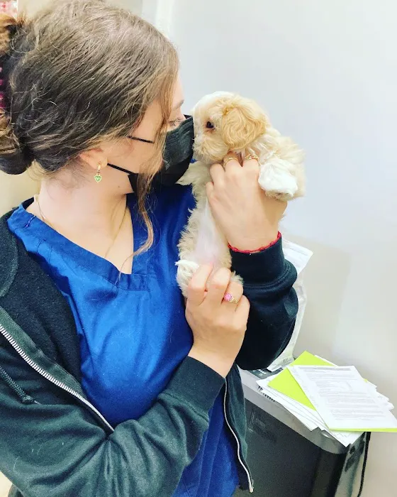Lincoln Animal Hospital Picture 3