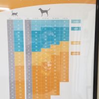Cypress Dog & Cat Hospital ico
