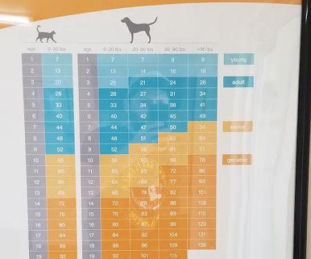 Cypress Dog & Cat Hospital