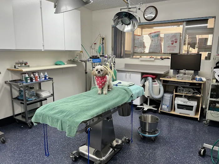 ABC Animal Hospital Picture 4