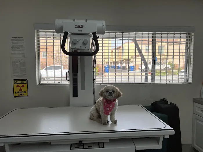 ABC Animal Hospital Picture 5
