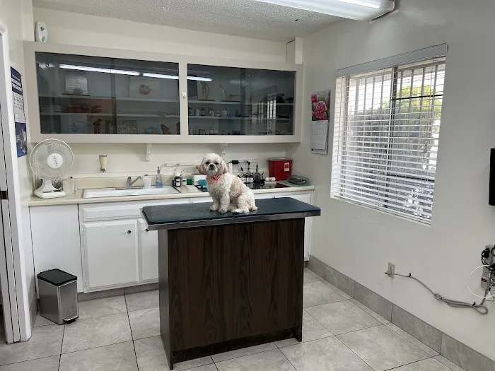 ABC Animal Hospital Picture 10