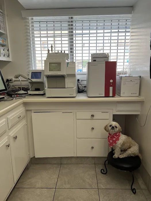 ABC Animal Hospital Picture 7