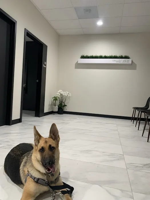 Valley View Animal Hospital Picture 2