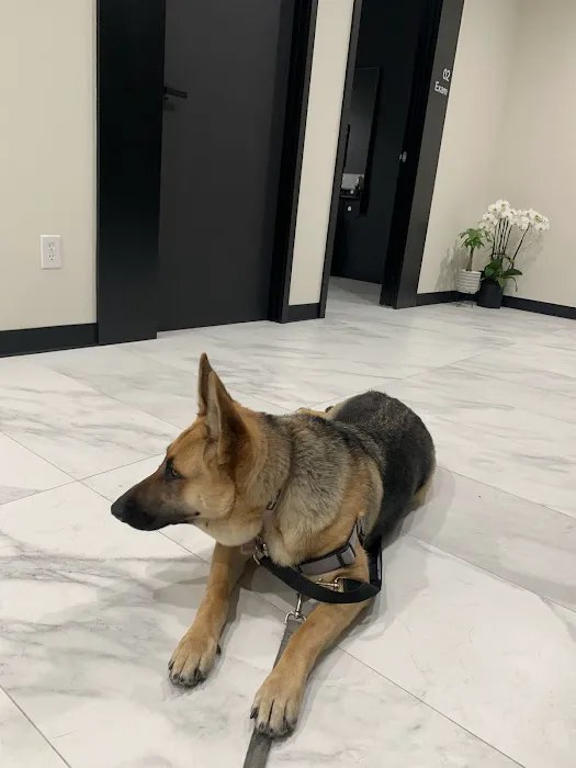 Valley View Animal Hospital Picture 1