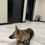 Valley View Animal Hospital