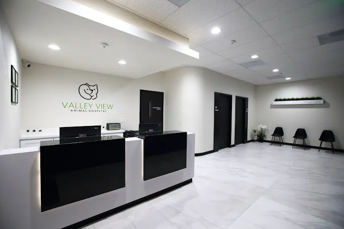Valley View Animal Hospital Picture 3