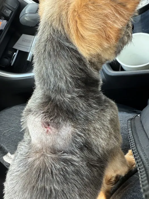 Valley View Animal Hospital Picture 4