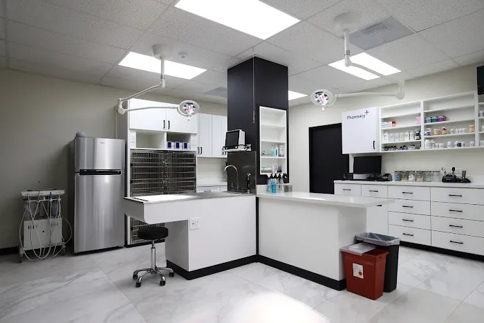 Valley View Animal Hospital Picture 7