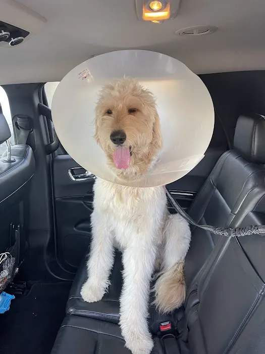 Sunny Hills Veterinary Hospital Picture 4
