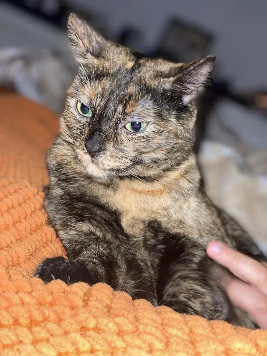 Sunny Hills Veterinary Hospital Picture 5