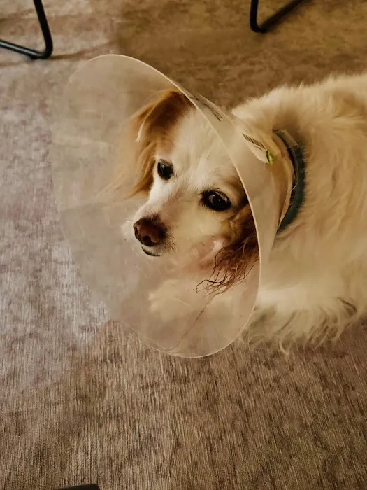 Sunny Hills Veterinary Hospital Picture 9
