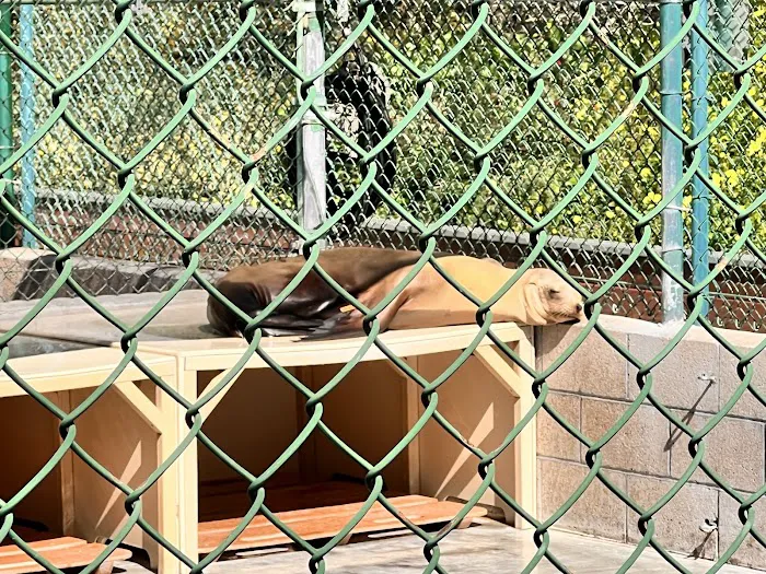 Marine Mammal Care Center Picture 3