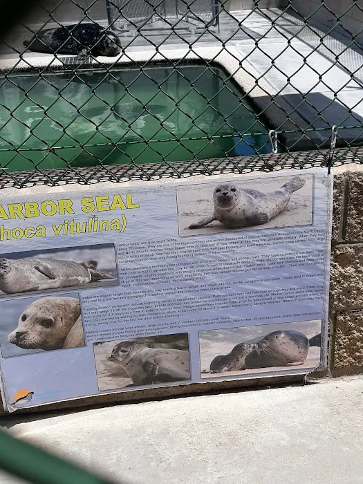 Marine Mammal Care Center Picture 5