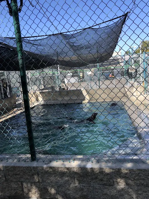 Marine Mammal Care Center Picture 10