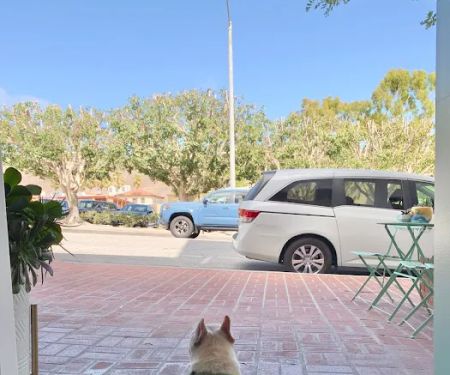 Integrative Pet Wellness Center