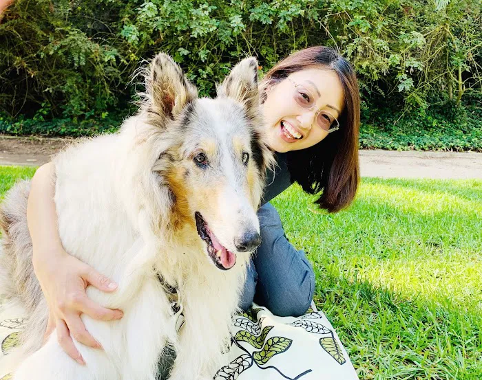 Integrative Pet Wellness Center Picture 7