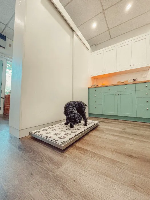 Integrative Pet Wellness Center Picture 9