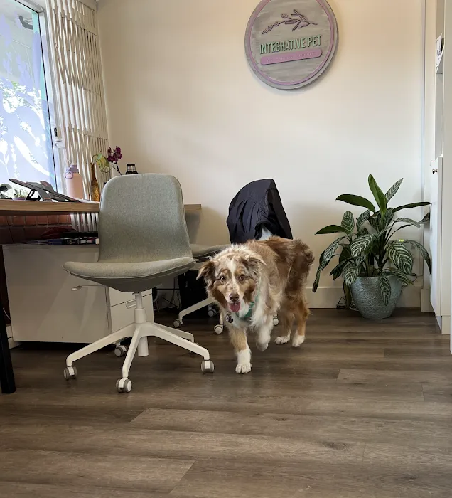 Integrative Pet Wellness Center Picture 10