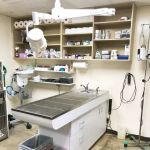 Peninsula Center Pet Hospital