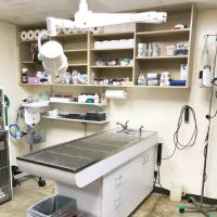 Peninsula Center Pet Hospital ico