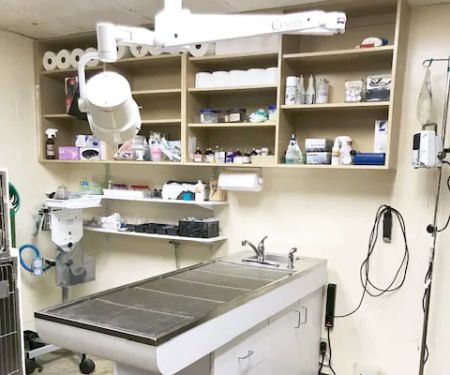 Peninsula Center Pet Hospital
