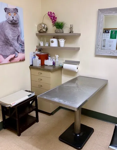 Peninsula Center Pet Hospital Picture 3