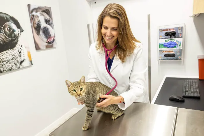 Peninsula Center Pet Hospital Picture 7