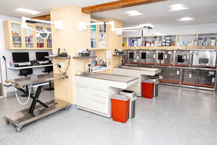 Peninsula Center Pet Hospital Picture 9