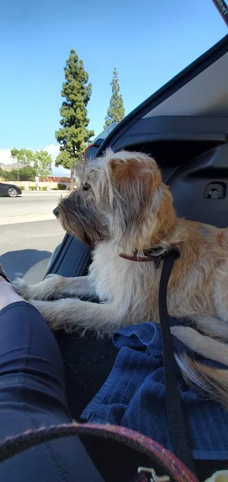 Duarte Azusa Animal Hospital Picture 2
